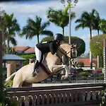 Royal Palm