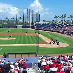 Royal Palm