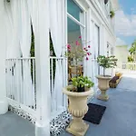 The Golden Alligator 1 - 3 Beds 2 Baths In West Palm Beach Close To Everything