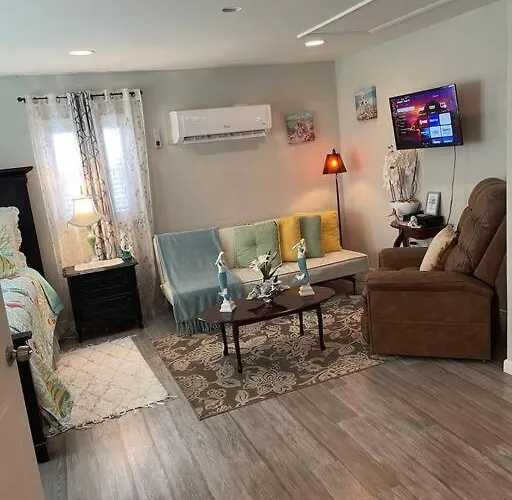Bright Spacious Studio Near City And Palm Beach