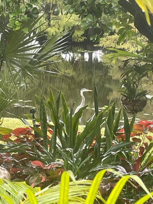 Unwind Island 3 Bedrooms 3 Full Washrooms * West Palm Beach