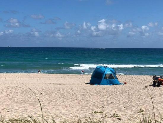 Tamarind 201 - Cozy In West Palm Beach, Minutes Away From Downtown! * West Palm Beach