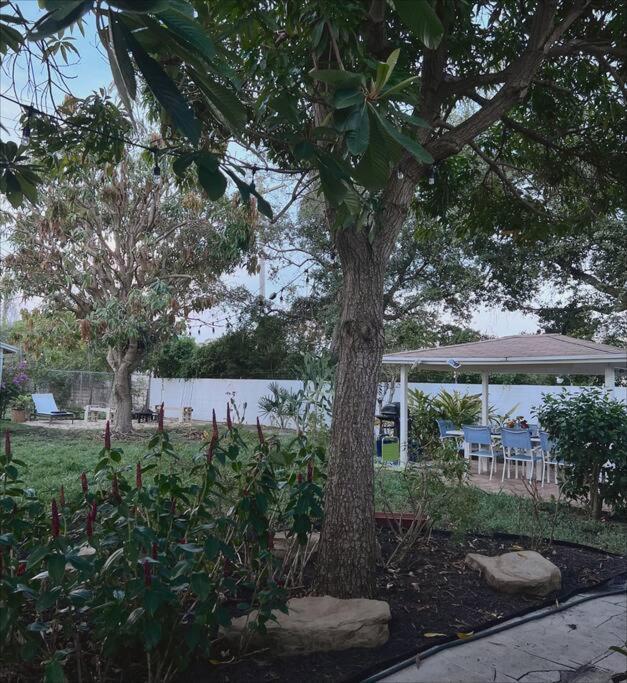 Beautiful Main House In West Palm *