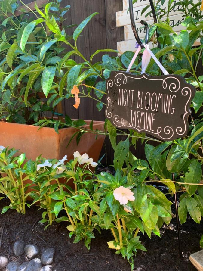 Casa Pina Guest house West Palm Beach