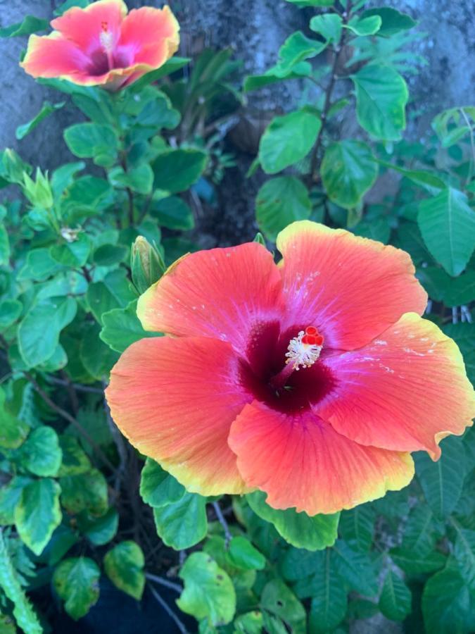 Casa Pina Guest house West Palm Beach
