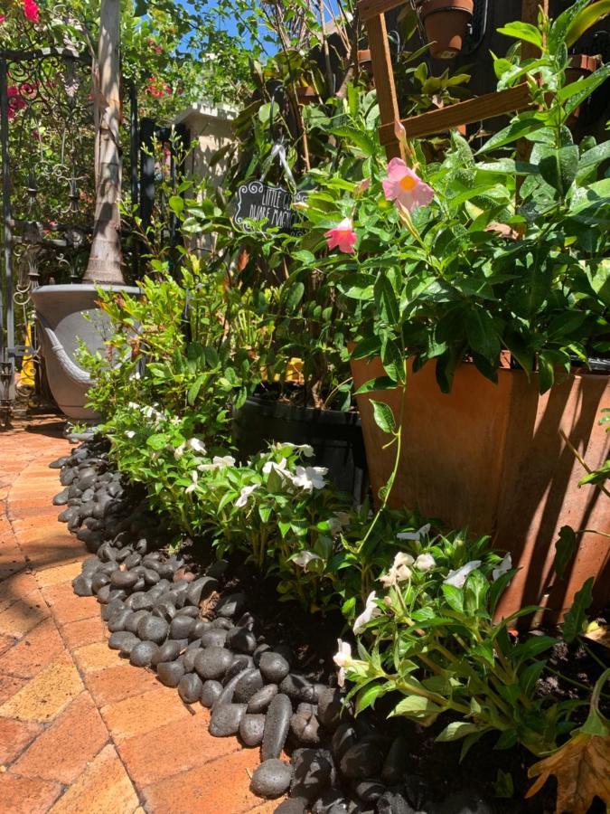 Casa Pina Guest house West Palm Beach
