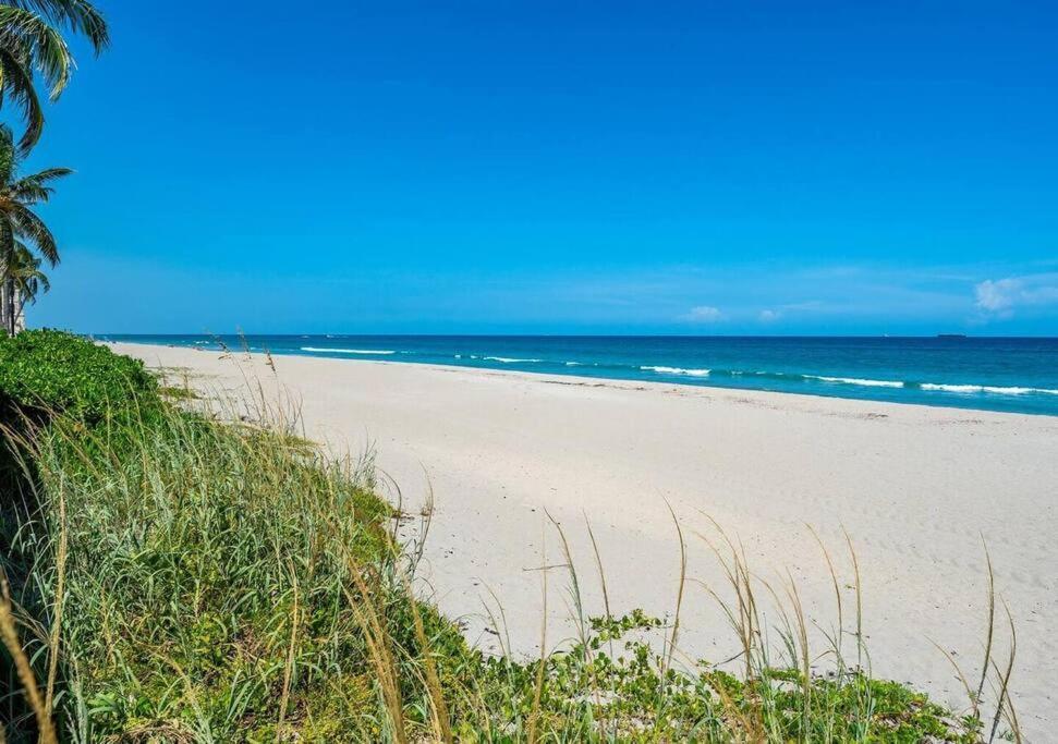 Apartment Cozy 1br On Intracoastal Water West Palm Beach
