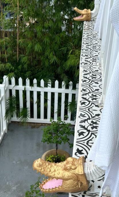 The Golden Alligator 1 - 3 Beds 2 Baths In West Palm Close To Everything Apartment West Palm Beach