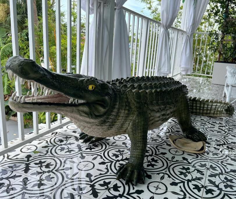 Apartment The Golden Alligator 1 - 3 Beds 2 Baths In West Palm Close To Everything West Palm Beach
