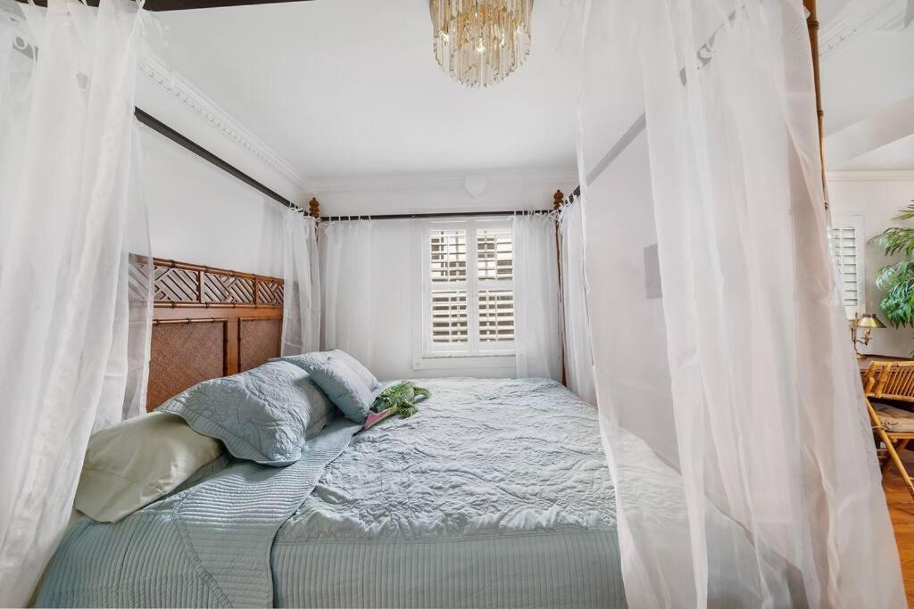Apartment The Golden Alligator 2 - 3 Beds 1 Bath Palm Regency Style, Near Everything *
