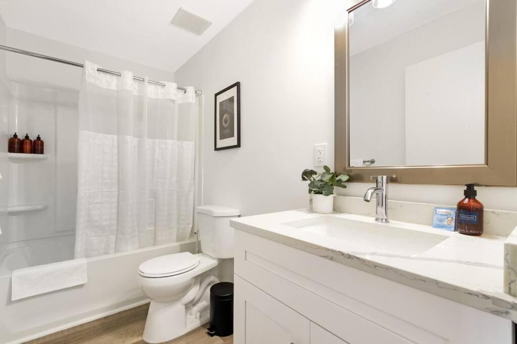 The Lofts On Clematis 203 Downtown West Palm *