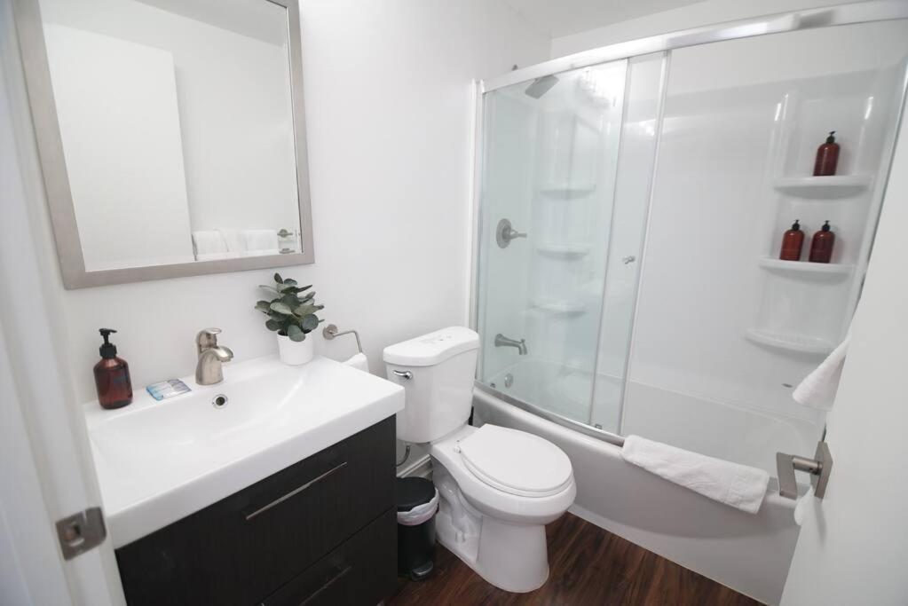 The Lofts On Clematis 604 Downtown West Palm Apartment