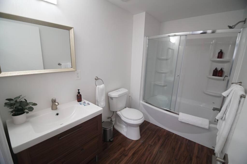 The Lofts On Clematis 505 Downtown West Palm Apartment