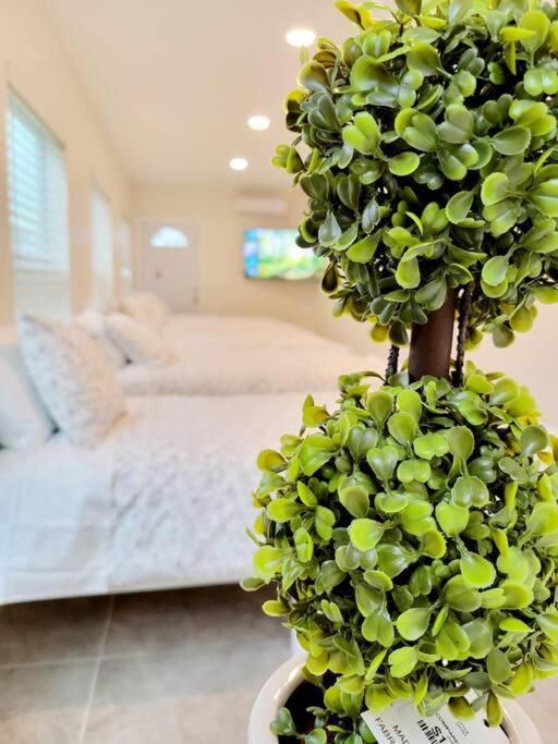 The Retreat - 11 Beds, Huge Backyard Holiday home *