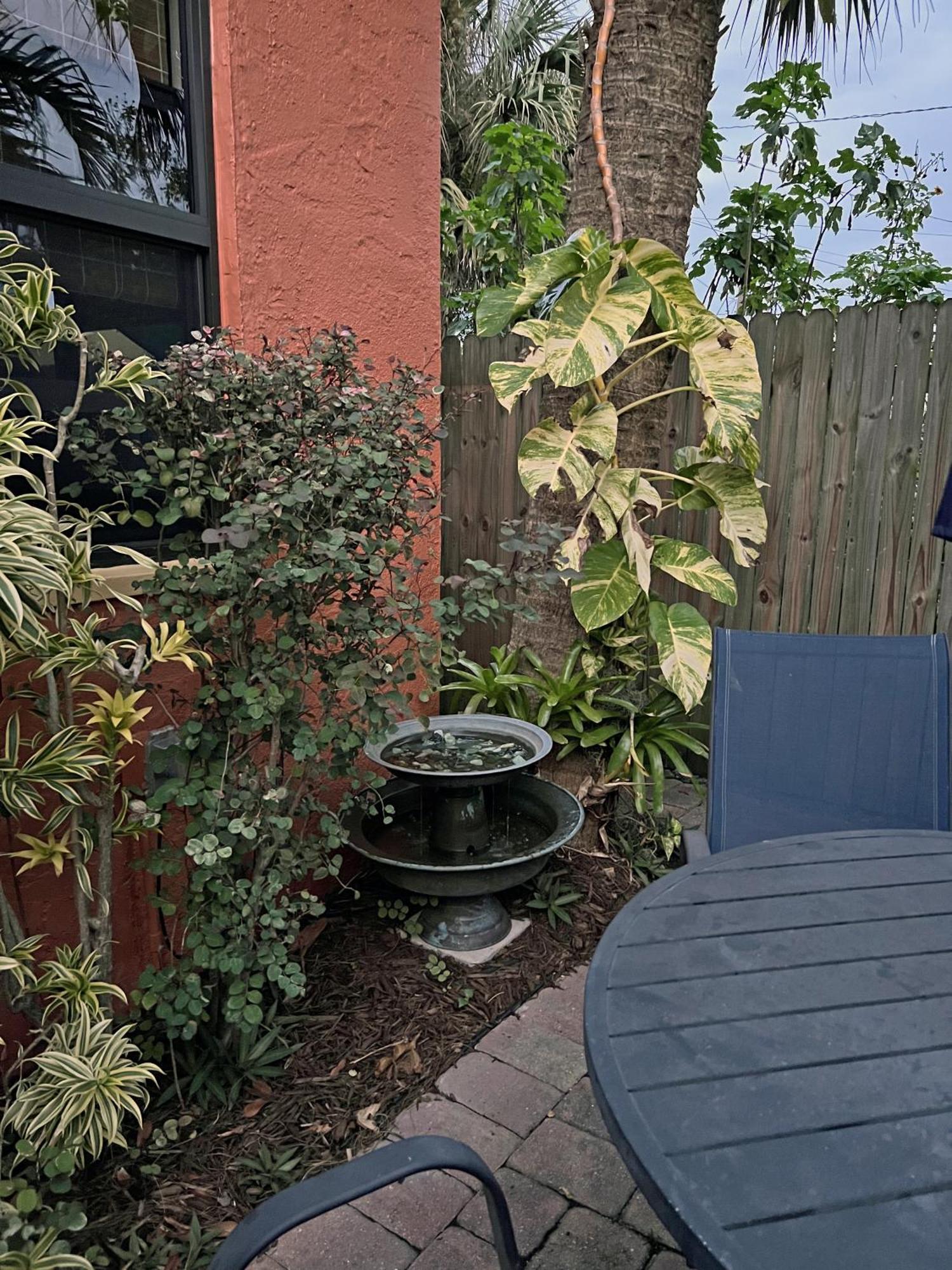 The At Pineapple House *
