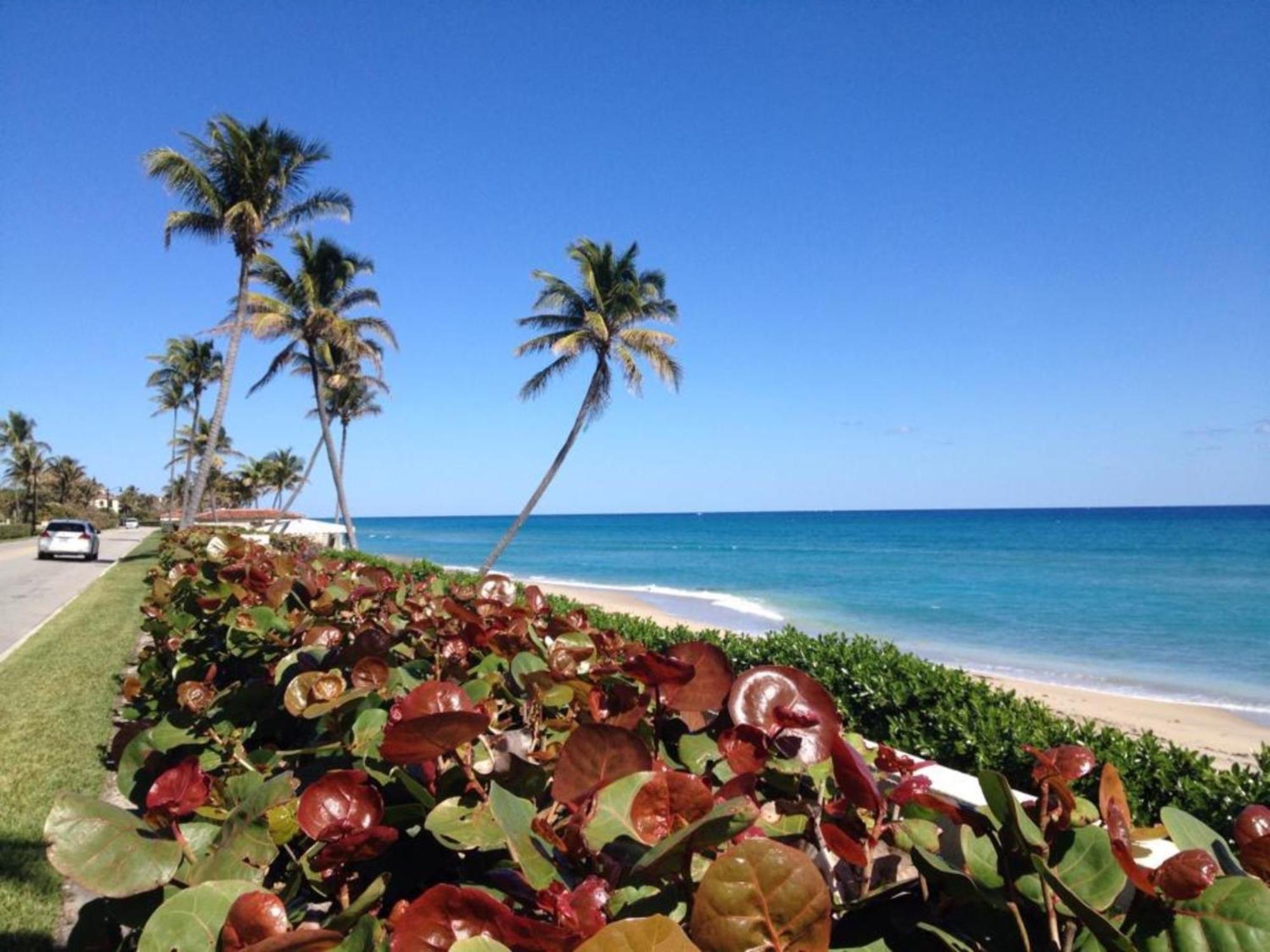 Mango Haus 2bd 2ba Private Pool And Parking West Palm Beach