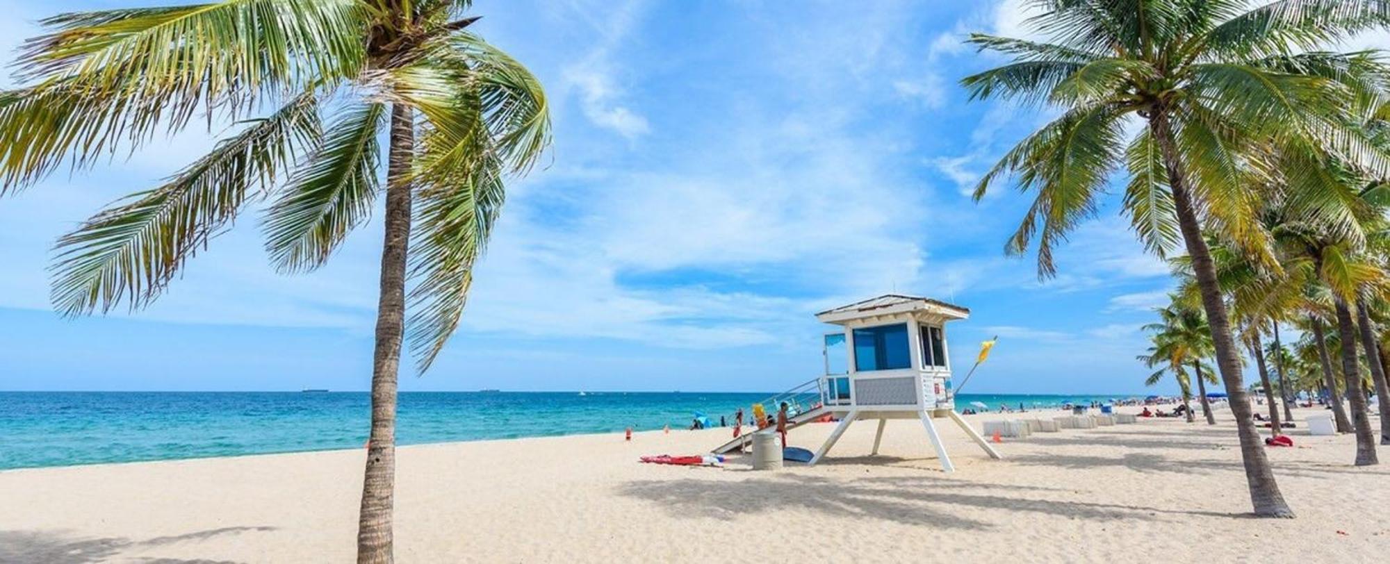 New! Few Minutes To Downtown, 10 To The Beach! Holiday home