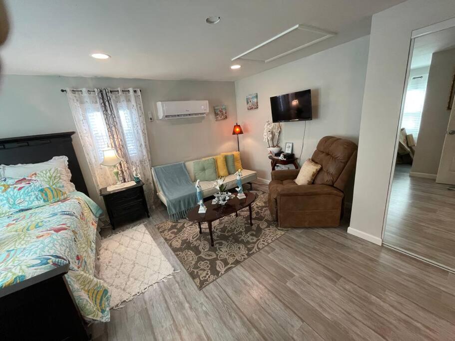 Apartment Bright Spacious Near And Palm