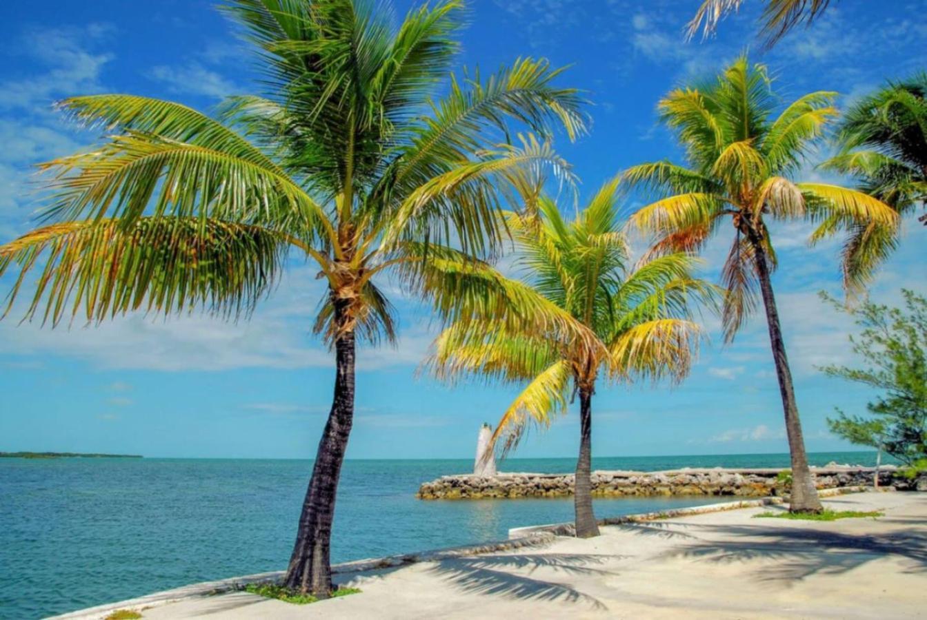 Beautiful In West Palm - 5 Min To Airport Holiday home