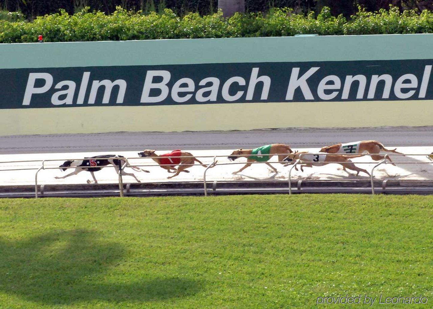 Hampton West Palm Airport Hotel West Palm Beach