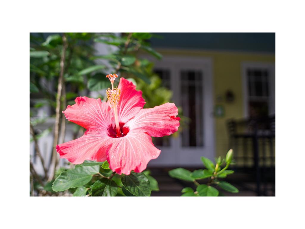 Acomodação com café da manhã  Palm Beach Hibiscus Downtown