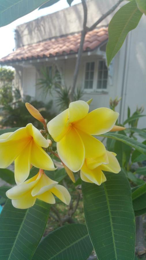Casa Portugal * West Palm Beach