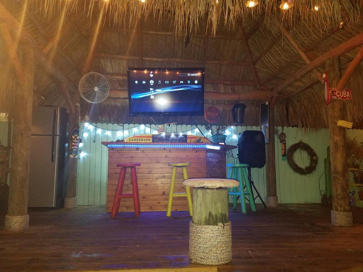 The Driftwood Oasis
