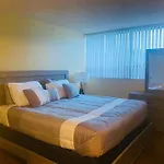 Amazing Guest House