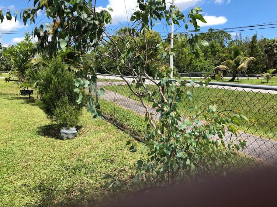Homestay Royal Poinciana West Palm Beach