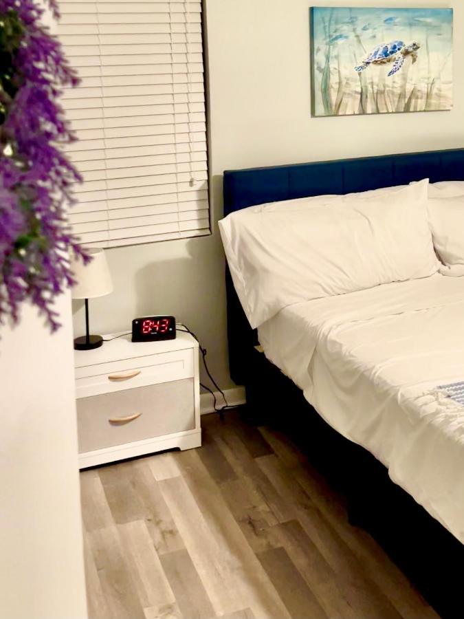 Apartment Comfy Sun And Sky Private With Private Full Bath 1