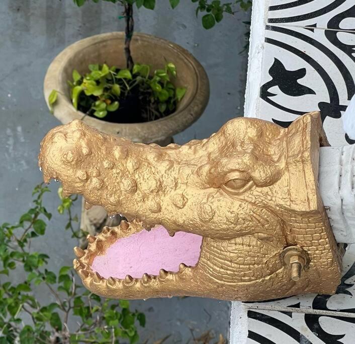 The Golden Alligator 2 - 3 Beds 1 Bath Palm Regency Style, Near Everything *