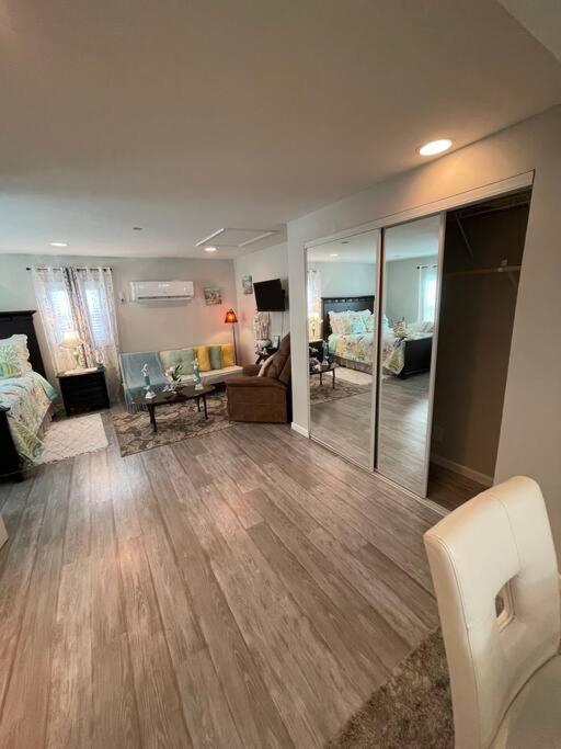 Bright Spacious Near And Palm